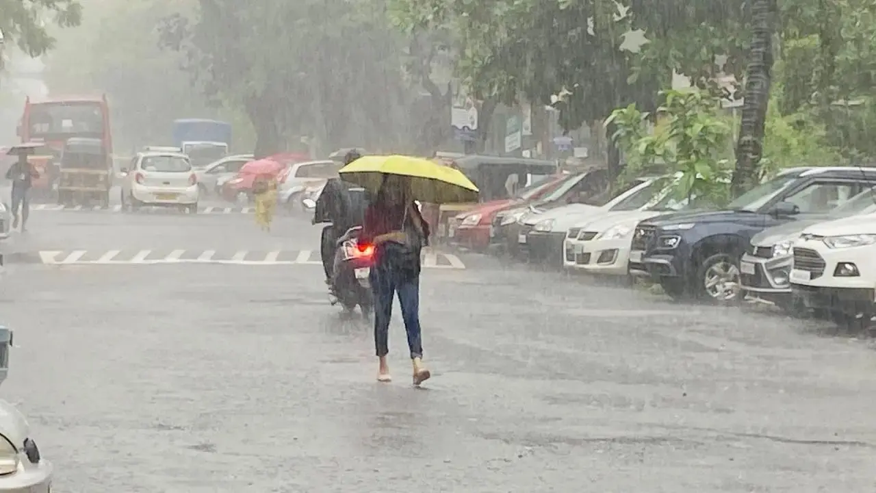 Maharashtra rains: Several Pune dams release water amid continuous rainfall