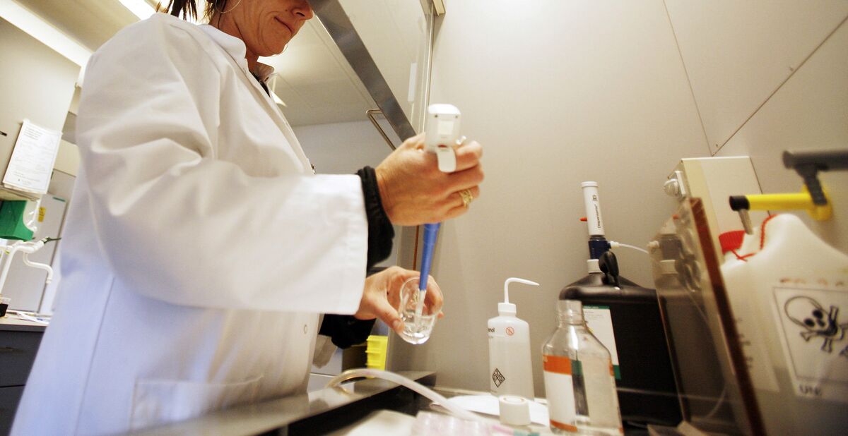 Bloomberg Intelligence: Novo Lowers Obesity Drug Price (Podcast)