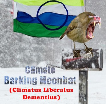 Strange: Democrats’ Yammering About Climate Doom Drops