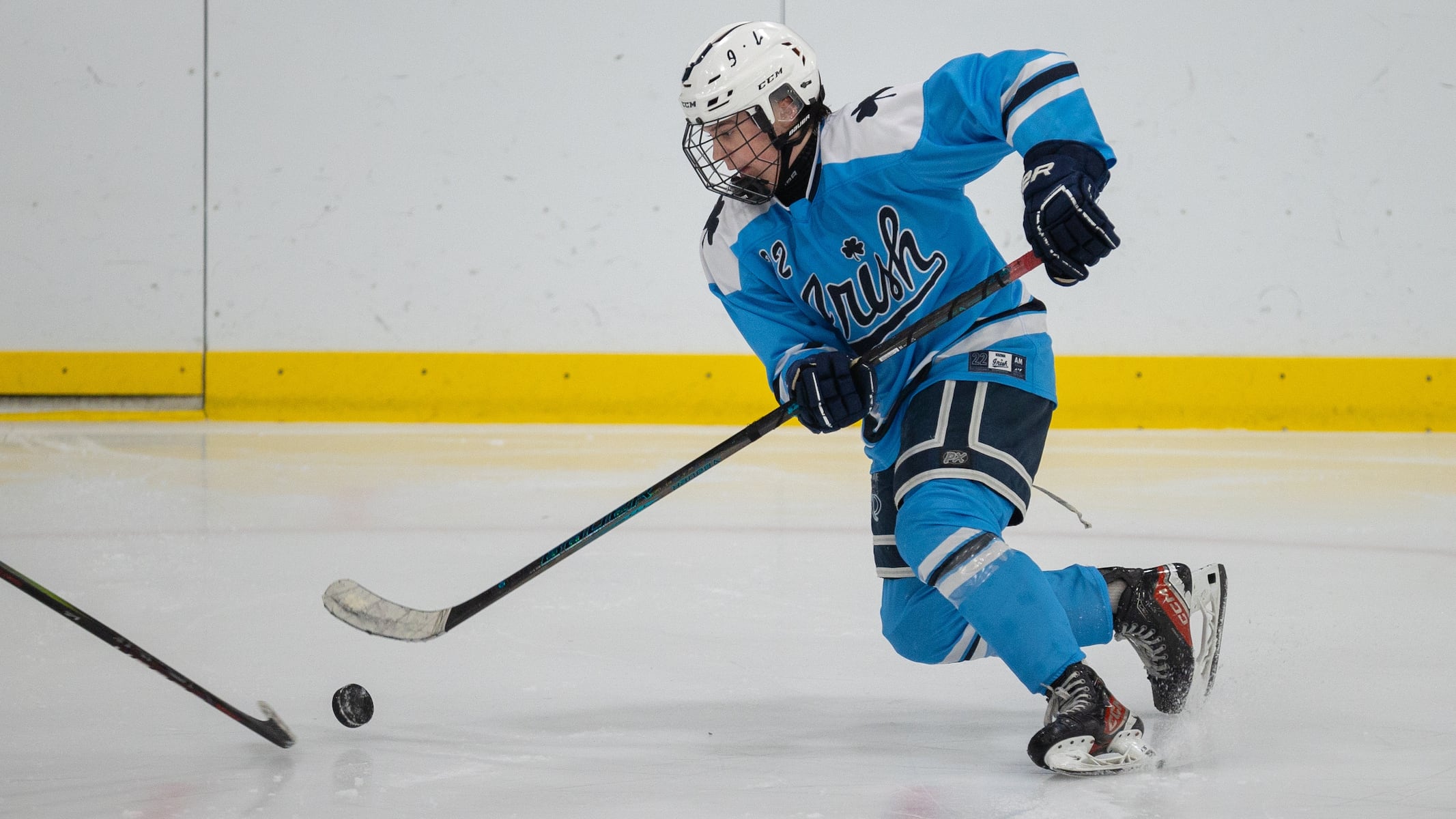 Notre Dame defeats West Windsor-Plainsboro – Boys ice hockey recap